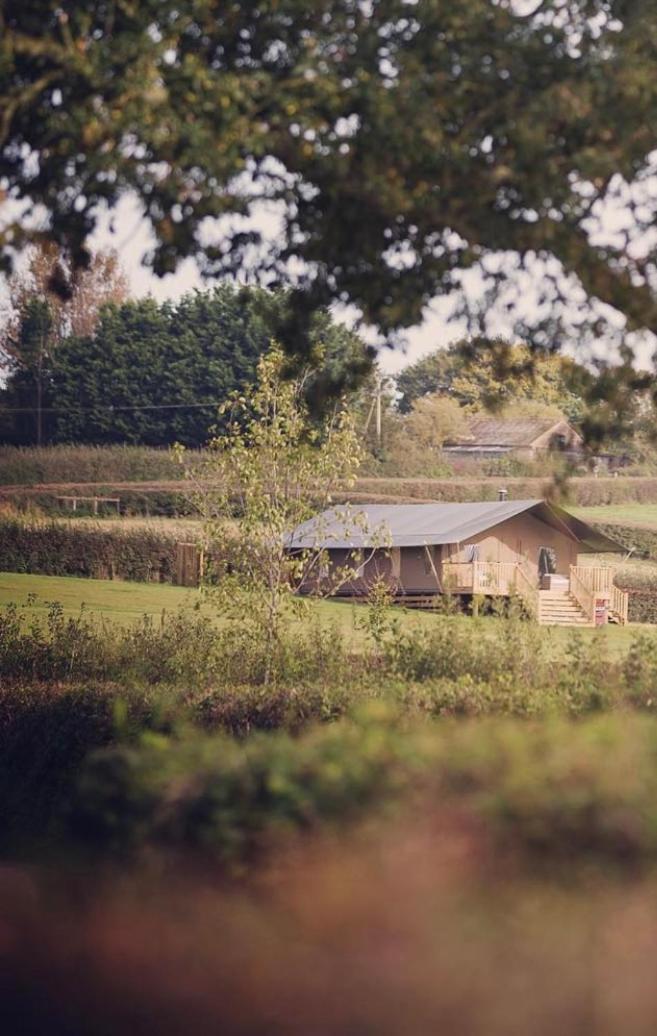 Midleydown Luxury Glamping Hotel Exeter Exterior photo